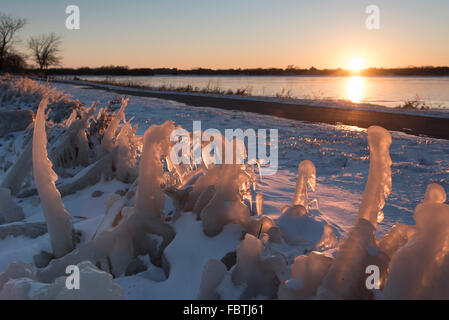 Rangées de plantes couvertes de glace de la pulvérisation de l'eau du lac. La glace commence à briller à partir de la dernière lumière à la fin de th Banque D'Images