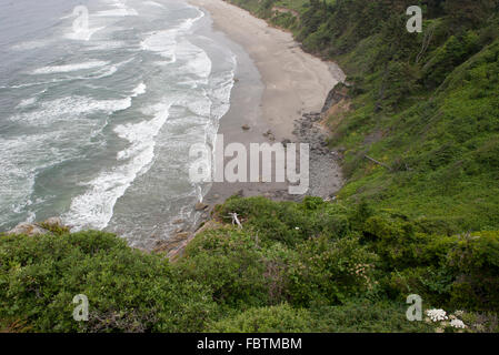 Des falaises et de la plage de Redwood National Park, California, USA Banque D'Images