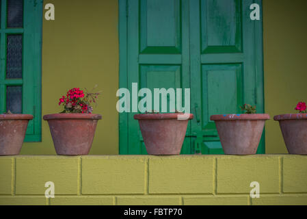 Mur peint en jaune vif et porte verte brillante. Plantes en pot de géranium alignées sur une corniche. Nagaland, Inde Banque D'Images