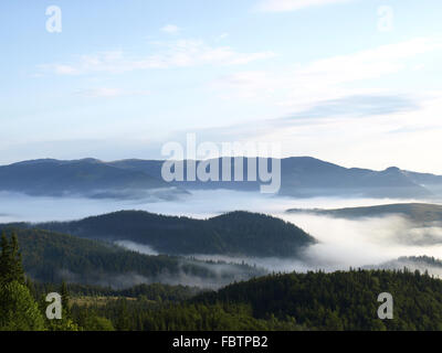 Misty valley dans les montagnes boisées Banque D'Images