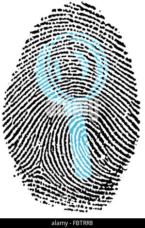 Fonctionnalités de recherche Fingerprint Banque D'Images