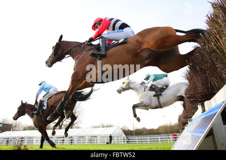 Chasse à la course nationale de Plumpton West Sussex. Banque D'Images