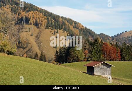 L'automne dans les Alpes Banque D'Images