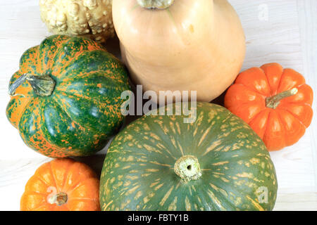 Courges. Banque D'Images