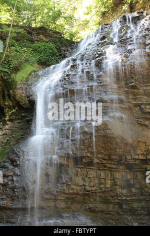 Tiffany Falls 04. Orientation verticale. Banque D'Images