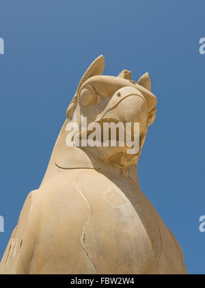 Statue de Griffin dans une ancienne ville de Persepolis Banque D'Images