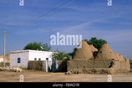 Turquie, Anatolie du Sud-est, Harran, maisons traditionnelles Banque D'Images