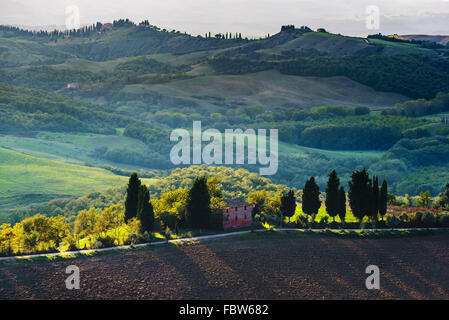 Les champs labourés dans le paysage pittoresque de l'Italie. Paysage de la Toscane. Banque D'Images