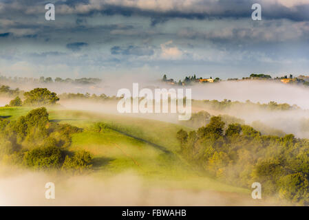 Arbres et vergers sur le champs italien. Toscane journée d'automne. Banque D'Images