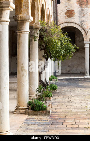 Cloître de la basilique San Pietro di Castello, Venise, Italie Banque D'Images