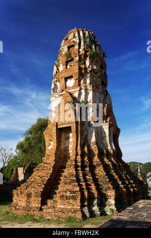 Wat Mahathat Temple, Ayutthaya, Thaïlande Banque D'Images