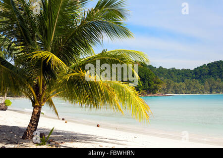 Plage sur l'île de Koh Kood, Thaïlande Banque D'Images