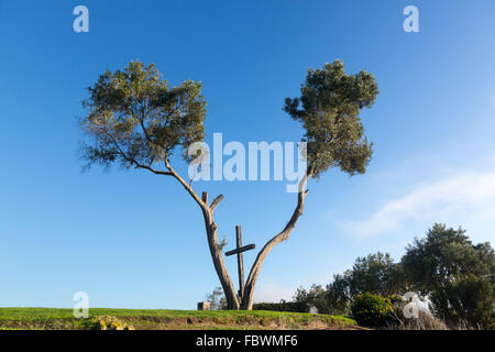 Croix de Ventura en Californie Serra entre les arbres Banque D'Images