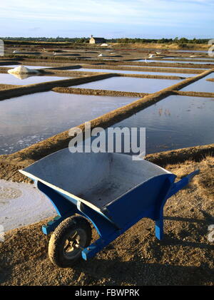 Dans la saline de Barrow Banque D'Images