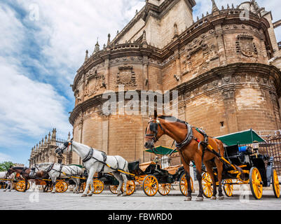 Espagne, Andalousie, province de Séville, Séville, Plaza Virgen de los Reyes, transport chevaux en attente de tarifs à la Cathédrale de Séville Banque D'Images