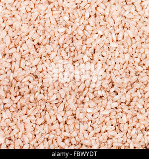 Contexte alimentaire carré - moyenne des grains de rouge non cuite Matta (Devzira) riz close up Banque D'Images