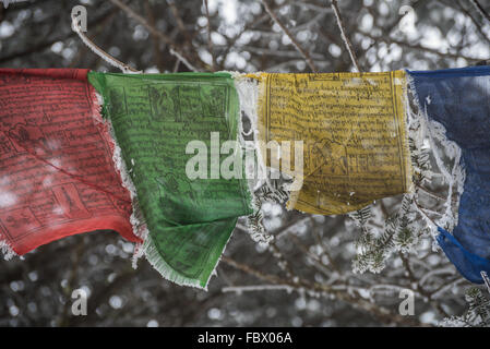 Drapeaux de prière recouverts de givre accrochés dans un arbre recouvert de neige. Vue depuis la route Lone de l'Inde, de l'Arunachal Pradesh à Tawang. Inde Banque D'Images