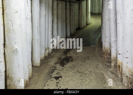 Tunnels de la mine de sel souterraine de Wieliczka, Pologne Banque D'Images