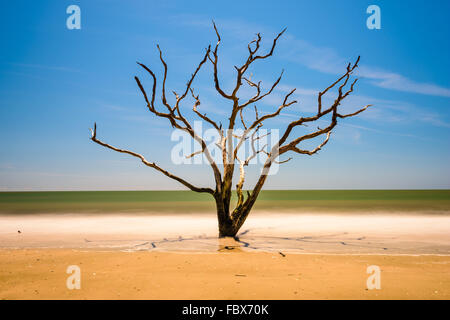 Botany Bay en Caroline du Sud, USA. Banque D'Images