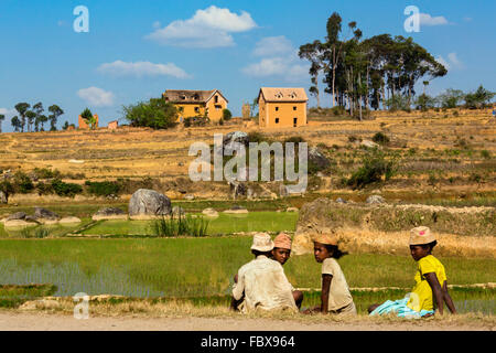 Paysage et rizières entre Ambositra et Ranomafana, Route Nationale 7, à Madagascar Banque D'Images