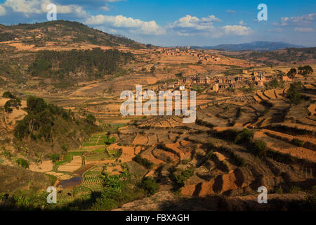 Paysage et rizières entre Ambositra et Ranomafana, Route Nationale 7, à Madagascar Banque D'Images