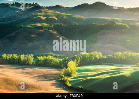 Amazing bruine sur les champs dans les rayons du soleil de Toscane, Italie Banque D'Images