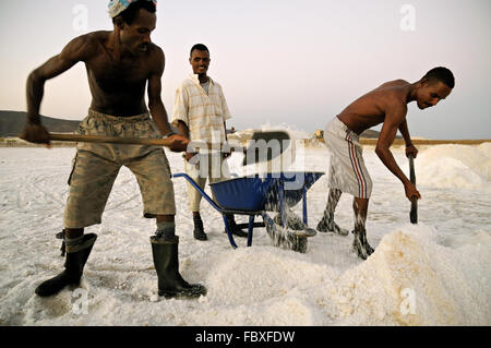 Les travailleurs africains dans un marais salants sur la rive du lac Afrera, région Afar, Ethiopie Banque D'Images