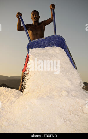 Jeune homme africain déverse une brouette pleine de sel dans les mines de sel sur la rive du lac Afrera, région Afar, Ethiopie Banque D'Images