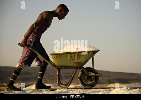 Jeune homme africain pousse une brouette pleine de sel dans les salines sur la rive du lac Afrera, région Afar, Ethiopie Banque D'Images