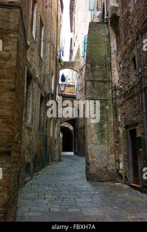 Rue de l'étroit domaine Tartuca de Sienne, Toscane, Italie Banque D'Images