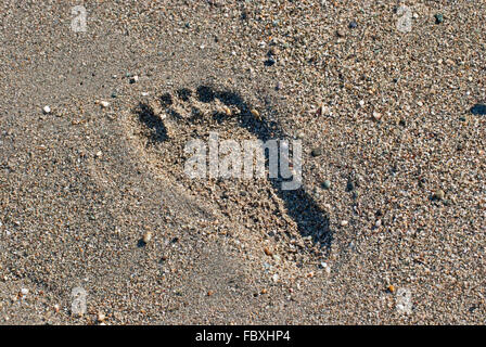 Empreinte dans le sable. Banque D'Images