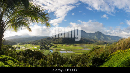 Vallée de Hanalei Princeville donnent sur Kauai Banque D'Images