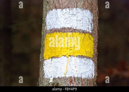 Blanc-jaune-blanc marqueur peint sur un arbre Banque D'Images