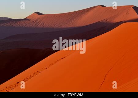 Dunes de sable géantes à l'aube à Sossusvlei, Namibie, Afrique Banque D'Images