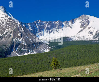 le mur d'amont du mont powell (le cratère) dans la gamme de fint creek près de deer lodge, montana Banque D'Images