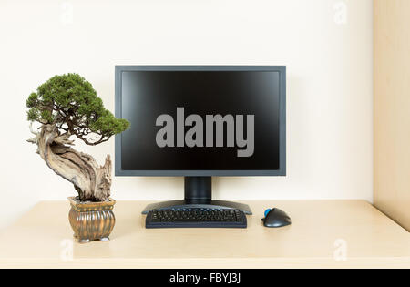 Petit arbre de bonzaies sur du bureau bureau avec moniteur Banque D'Images