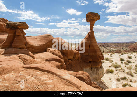 Toadstool Hoodoos Banque D'Images