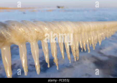 Qingdao, Shandong, CHN. 19 Jan, 2016. Qingdao, Chine - le 18 janvier 2016 : (usage éditorial uniquement. Chine OUT) L'épaisseur de la glace de mer est jusqu'à 5cm. © SIPA Asie/ZUMA/Alamy Fil Live News Banque D'Images