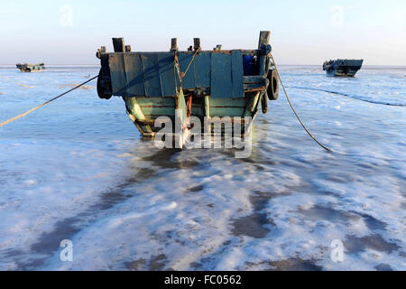 Qingdao, Shandong, CHN. 19 Jan, 2016. Qingdao, Chine - le 18 janvier 2016 : (usage éditorial uniquement. Chine OUT) L'épaisseur de la glace de mer est jusqu'à 5cm. © SIPA Asie/ZUMA/Alamy Fil Live News Banque D'Images