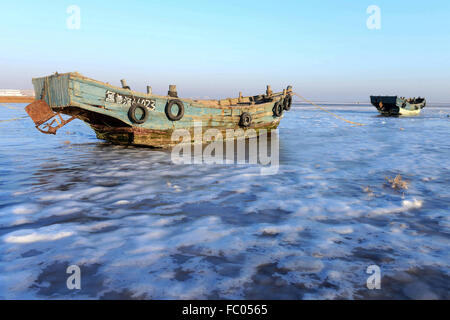 Qingdao, Shandong, CHN. 19 Jan, 2016. Qingdao, Chine - le 18 janvier 2016 : (usage éditorial uniquement. Chine OUT) L'épaisseur de la glace de mer est jusqu'à 5cm. © SIPA Asie/ZUMA/Alamy Fil Live News Banque D'Images