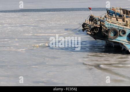 Qingdao, Shandong, CHN. 19 Jan, 2016. Qingdao, Chine - le 18 janvier 2016 : (usage éditorial uniquement. Chine OUT) L'épaisseur de la glace de mer est jusqu'à 5cm. © SIPA Asie/ZUMA/Alamy Fil Live News Banque D'Images