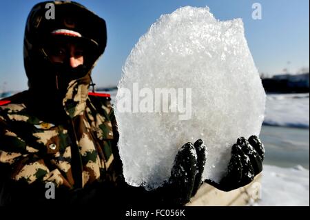 Qingdao, Shandong, CHN. 19 Jan, 2016. Qingdao, Chine - le 18 janvier 2016 : (usage éditorial uniquement. Chine OUT) L'épaisseur de la glace de mer est jusqu'à 5cm. © SIPA Asie/ZUMA/Alamy Fil Live News Banque D'Images