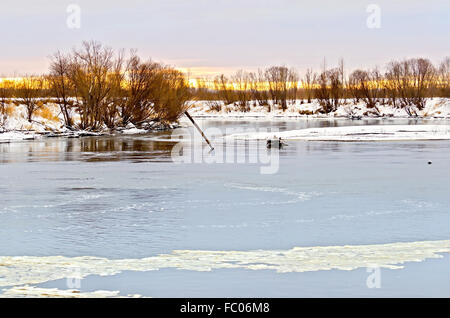 Rivière avec glace et neige-couvertes beach avec des arbres Banque D'Images