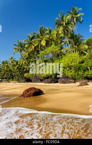 Cola Beach, Sud de Goa, Inde Banque D'Images