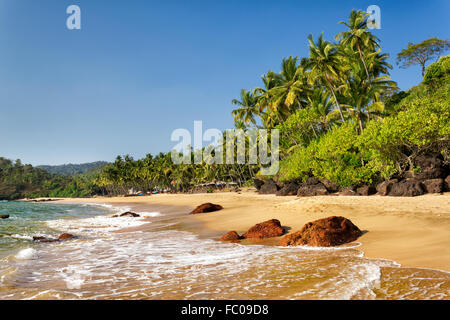 Cola Beach, Sud de Goa, Inde Banque D'Images