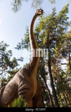 Le Diplodocus dinosaure herbivore forêt marche Banque D'Images