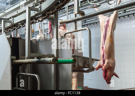 L'intérieur de l'industrie de la viande de boucherie Banque D'Images