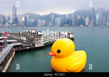 HONG KONG - 6 mai : Le canard en caoutchouc nager dans le port de Victoria le 6 mai 2013. Banque D'Images