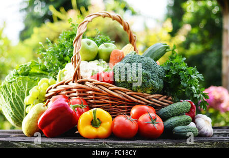 Panier en osier brut avec un assortiment de légumes organiques dans le jardin. Banque D'Images