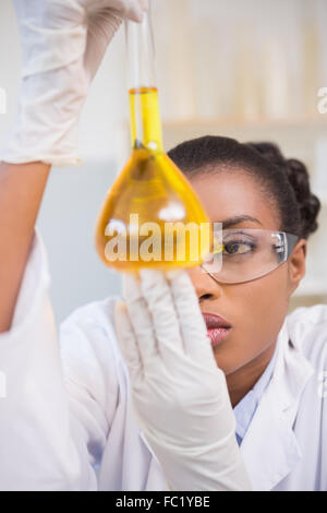 Scientist examining petri avec orange d'un fluide à l'intérieur Banque D'Images